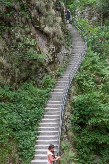 Selva Negra, Alsacia y Lago Constanza ️ Blogs de Alemania ️ Los Viajeros